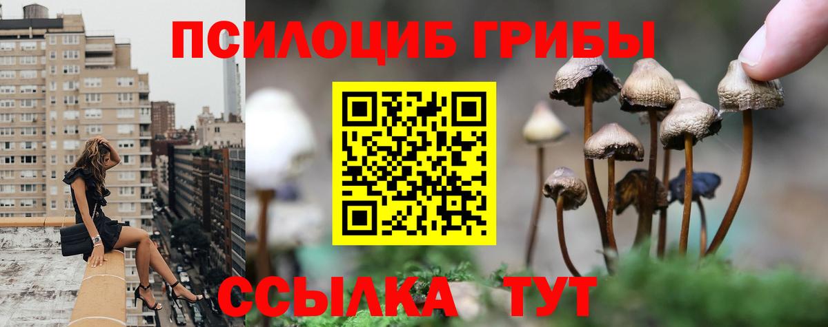 Псилоцибиновые грибы Psilocybe  Псилоцибиновые грибы Psilocybine cubensis  Вход с VPN  наркошоп  Вышний Волочёк 